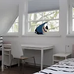 Ostseelagune Zingst, Exklusive Dhh, Strandnah, Sauna, Kamin, 3 Sz, 2 Baeder, Glasfaser, Haustierfrei, Garten Mit Suedterrasse, E-ladesaeule, 2 Stellplaetze, Strandkorb, Fahrradschuppen, Waschmaschine, Trockner, Nichtraucher
