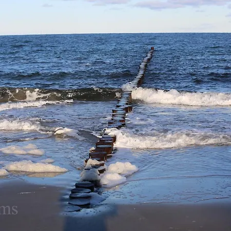 Semesterbostad Ostseelagune Zingst, Exklusive Dhh, Strandnah, Sauna, Kamin, 3 Sz, 2 Baeder, Glasfaser, Haustierfrei, Garten Mit Suedterrasse, E-ladesaeule, 2 Stellplaetze, Strandkorb, Fahrradschuppen, Waschmaschine, Trockner, Nichtraucher *