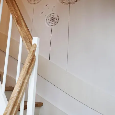 Ostseelagune Zingst, Exklusive Dhh, Strandnah, Sauna, Kamin, 3 Sz, 2 Baeder, Glasfaser, Haustierfrei, Garten Mit Suedterrasse, E-ladesaeule, 2 Stellplaetze, Strandkorb, Fahrradschuppen, Waschmaschine, Trockner, Nichtraucher 度假居 *