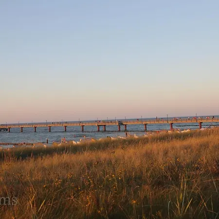 Ostseelagune Zingst, Exklusive Dhh, Strandnah, Sauna, Kamin, 3 Sz, 2 Baeder, Glasfaser, Garten Mit Suedterrasse, E-ladesaeule, 2 Stellplaetze, Strandkorb, Fahrradschuppen, Waschmaschine, Trockner Zingst