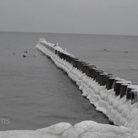 Semesterbostad Ostseelagune Zingst, Exklusive Dhh, Strandnah, Sauna, Kamin, 3 Sz, 2 Baeder, Glasfaser, Haustierfrei, Garten Mit Suedterrasse, E-ladesaeule, 2 Stellplaetze, Strandkorb, Fahrradschuppen, Waschmaschine, Trockner, Nichtraucher *