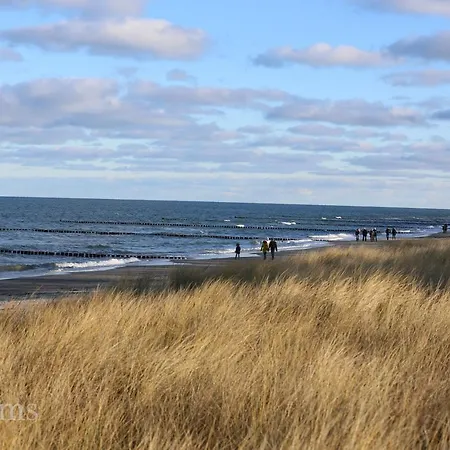 度假居 Ostseelagune Zingst, Exklusive Dhh, Strandnah, Sauna, Kamin, 3 Sz, 2 Baeder, Glasfaser, Haustierfrei, Garten Mit Suedterrasse, E-ladesaeule, 2 Stellplaetze, Strandkorb, Fahrradschuppen, Waschmaschine, Trockner, Nichtraucher 青斯特