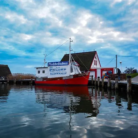 Ostseelagune Zingst, Exklusive Dhh, Strandnah, Sauna, Kamin, 3 Sz, 2 Baeder, Glasfaser, Garten Mit Suedterrasse, E-ladesaeule, 2 Stellplaetze, Strandkorb, Fahrradschuppen, Waschmaschine, Trockner *