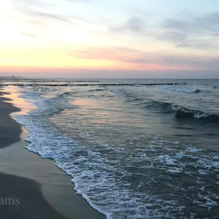 Ostseelagune Zingst, Exklusive Dhh, Strandnah, Sauna, Kamin, 3 Sz, 2 Baeder, Glasfaser, Haustierfrei, Garten Mit Suedterrasse, E-ladesaeule, 2 Stellplaetze, Strandkorb, Fahrradschuppen, Waschmaschine, Trockner, Nichtraucher Semesterbostad *