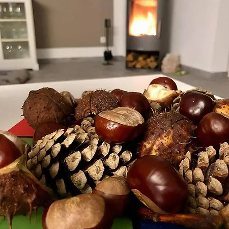 Dom wakacyjny Exklusive Dhh - Haustierfrei - Sauna - Kamin - Ostseelagune Zingst, Strandnah, 3 Sz, 2 Baeder, Glasfaser, Garten Mit Suedterrasse, E-ladesaeule, 2 Stellplaetze, Strandkorb, Fahrradschuppen, Waschmaschine, Trockner, Nichtraucher, Allergikerfreundlich Zingst
